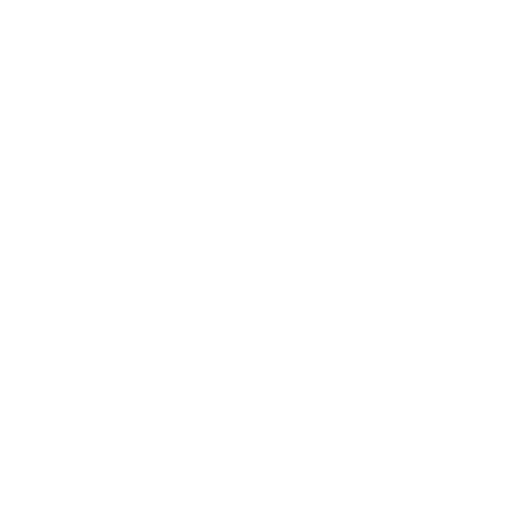 Ceramic Braces